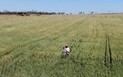 Paraguay. “Los motores de la economía, la agricultura y la ganadería, están desacelerados”.