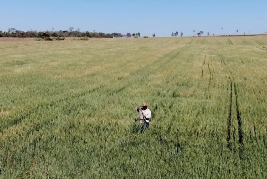 Paraguay. “Los motores de la economía, la agricultura y la ganadería, están desacelerados”.