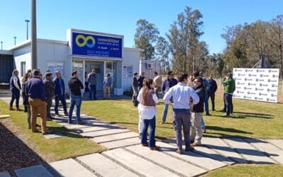 Plan de captación de cultivos de sorgo “BT” de ALUR.