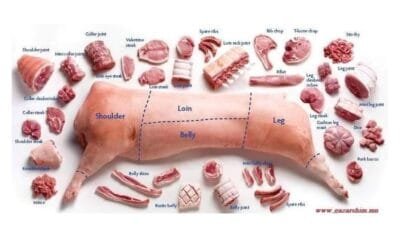 El cerdo en la Expo Prado, un sector que quiere despegar.