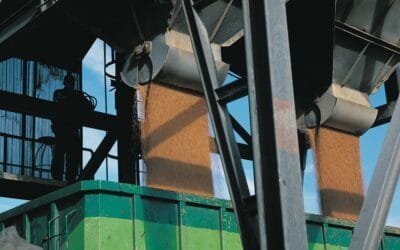 España desplaza a China y se convierte en el principal comprador de cereales ucranianos.