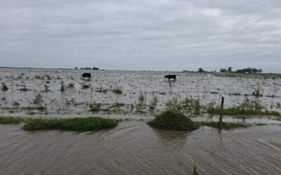 El cambio climático resta prosperidad y crecimiento económico.