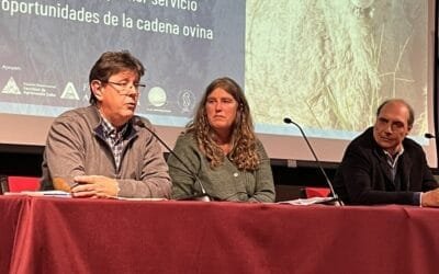 Georgget Banchero valoró como “muy positiva” la jornada ovina de Salto.