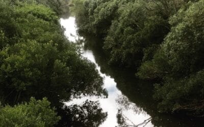 Feria de Salud Rural contó con la participación de la Dirección Forestal del MGAP.