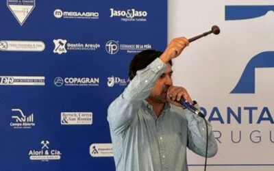 Pantalla Uruguay realiza hoy el primer remate del año.