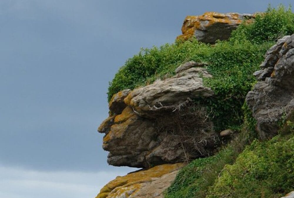 La pareidolia pasó por la campaña política.