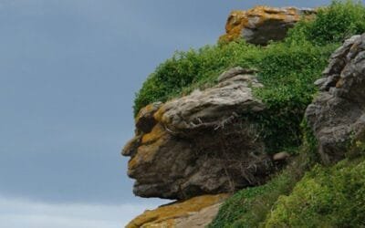La pareidolia pasó por la campaña política.