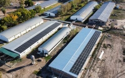 Tutto Porkys exportó carne de cerdo a Uruguay; ahora espera ingresar a Filipinas