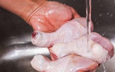En 2025 China reducirá sus importaciones de carne de pollo, pero crecerá en producción interna y consumo.