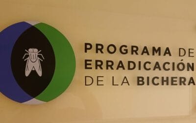 Uruguay espera recibir las moscas de control de la bichera en noviembre.