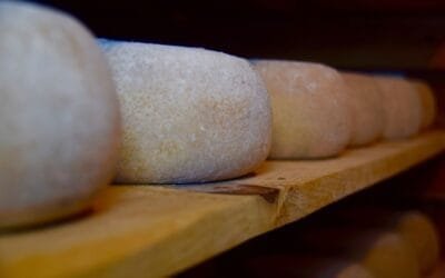 Mañana se presenta la Ruta del Queso de Colonia