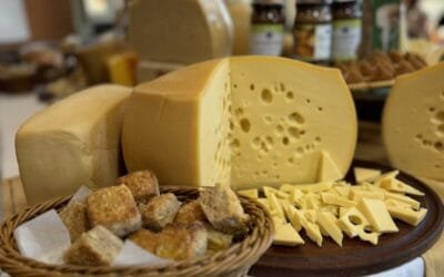 Fam Tour Ruta del queso Colonia