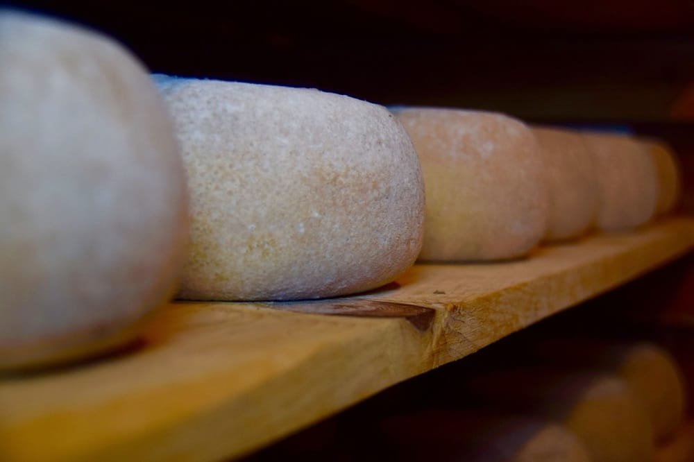 Mañana se presenta la Ruta del Queso de Colonia