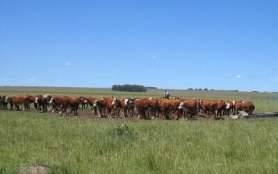 Lo circunstancial y lo permanente.