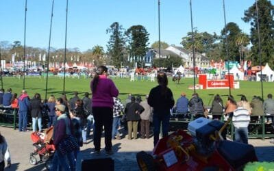 Angus y Hampshire Down, serán las razas con mayor presencia en el Prado.