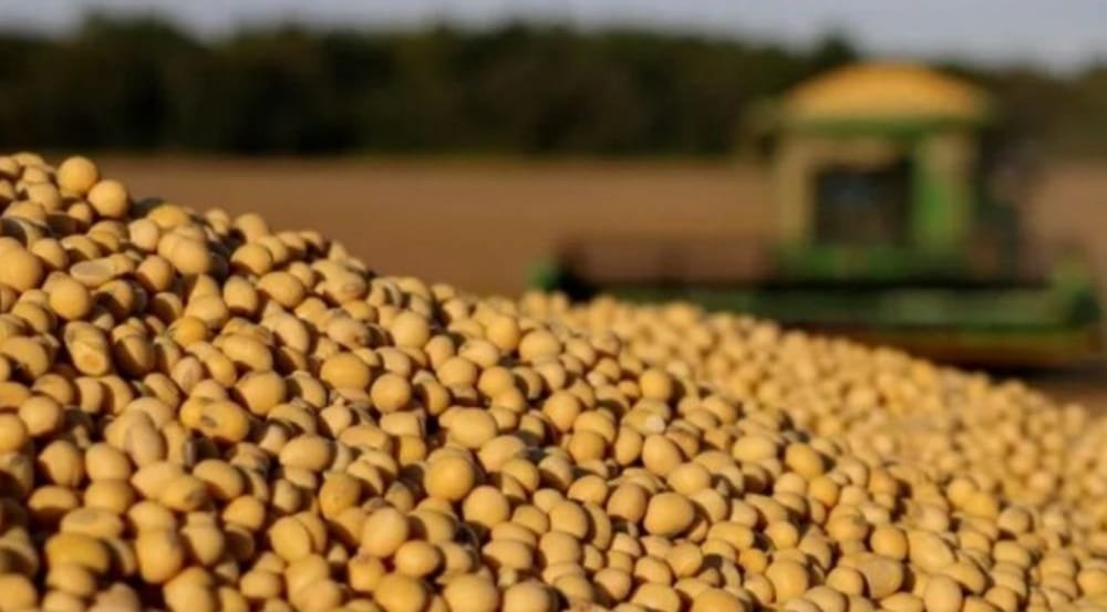 A julio, Paraguay exportó soja en grano por 6,3 millones de toneladas.