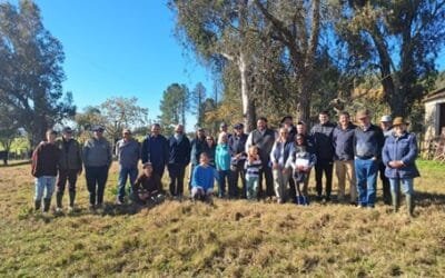 El Pastoreo Racional Voissin (PRV) se consolida en las lomadas del este del país.
