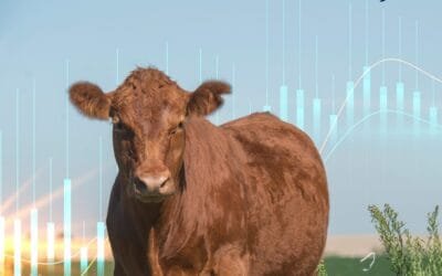 Con oferta elevada para los niveles de equilibrio, las medidas anunciadas no contribuyen.