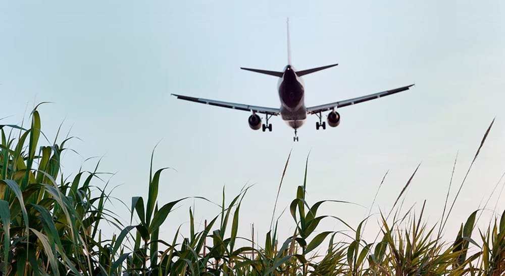 La aviación comienza a dar pasos para la descarbonización del sector.