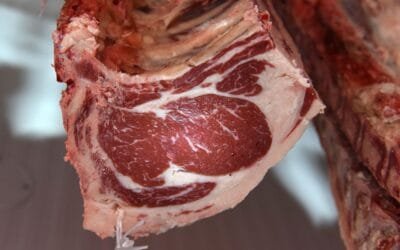 Argentina moderniza el sistema de tipificación vacuna, para alcanzar cobertura nacional.