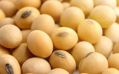 Mercado de granos con recuperación de valores.