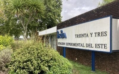 Veterinarios cuestionan “arremetida imprevista” de director de INIA contra la Ing. Quintans.