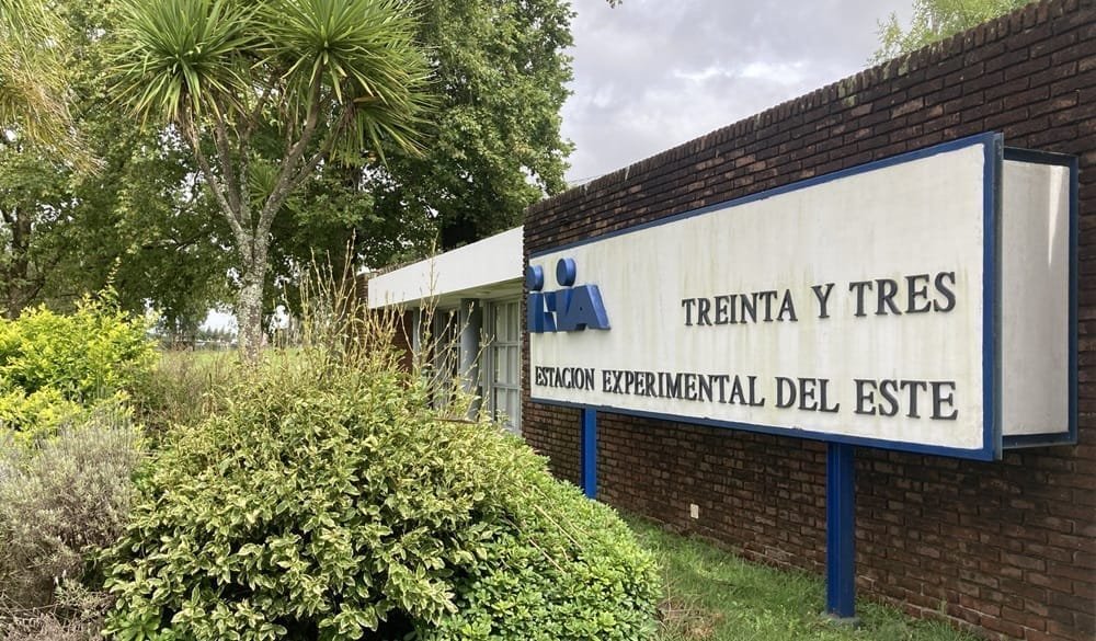 Veterinarios cuestionan “arremetida imprevista” de director de INIA contra la Ing. Quintans.