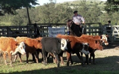 Con agilidad y buenos valores surtida oferta se despachó Manuel F. Porta.