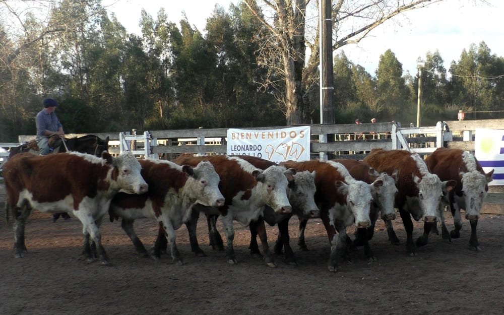 Leonardo Ruglio Bachino remató con firmeza, buenos valores y colocaciones totales.