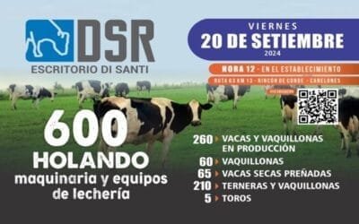 Remate de Di Santi: liquiación de tambo El Ombú con 600 Holando más maquinaria y equipos.