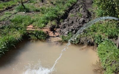 Canelones: Agencia de Desarrollo Rural realiza pozos domésticos para productores afectados por déficit hídrico.