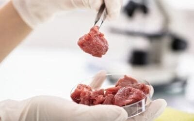 Carne cultivada: también Nebraska (EE.UU.) toma medidas regulatorias