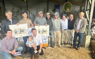 Ternero de San Gregorio Ganadera a US$ 50.400 valor total, todo un récord.