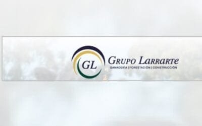 Al MGAP no le corresponde auditar al Grupo Larrarte.