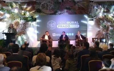 Cortabarría: “No damos abasto para recibir todos los animales que los criadores quieren traer”.