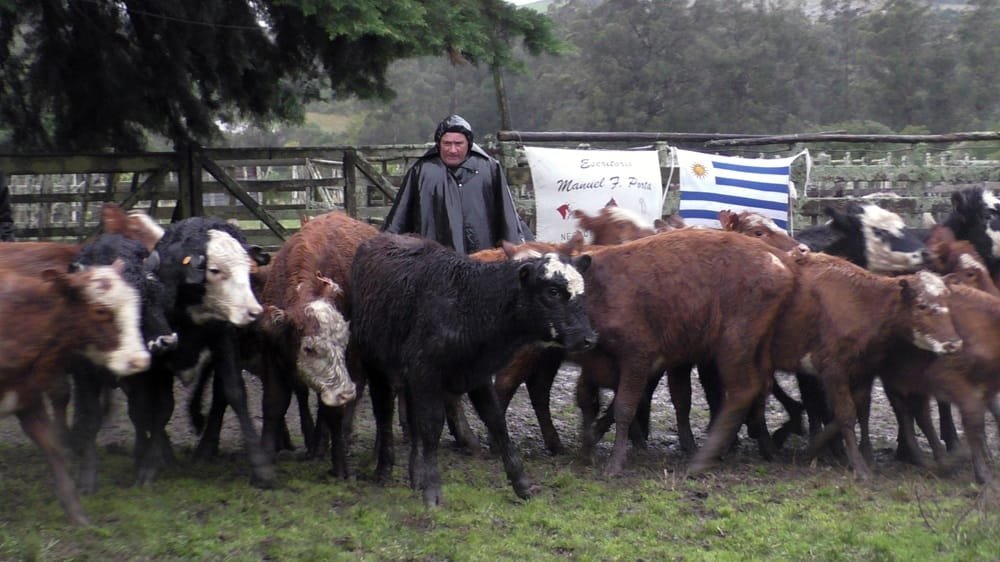 Ajustada al momento la pista de La Querencia.