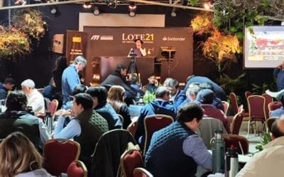 99% de colocación en el remate de Lote 21 en la Expo Prado.