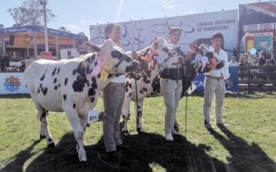 Escuela Técnica de Durazno se lució con los Normando en la Expo Prado.