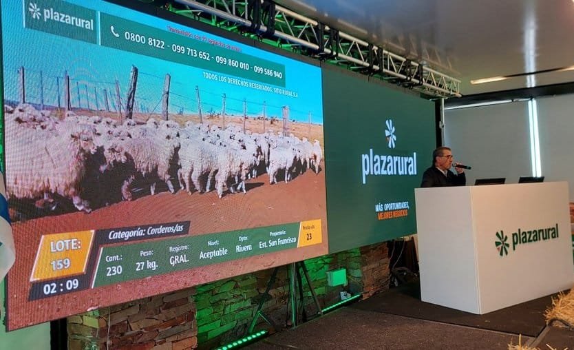 Plaza Rural vendió más 98% de la oferta, el remate se retoma hoy a las 09.00 horas.