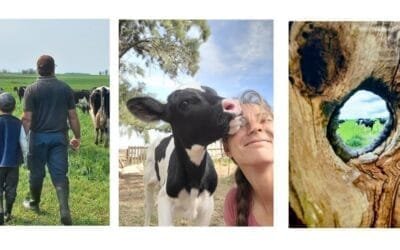 Tambo La Milana ganó el concurso de fotografía de Conaprole.