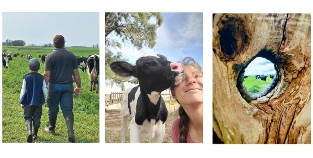 Tambo La Milana ganó el concurso de fotografía de Conaprole.