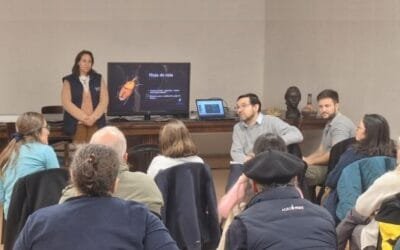 Para salvar las palmeras: acciones coordinadas contra el picudo rojo.