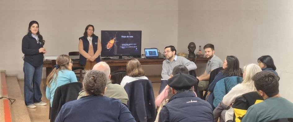 Para salvar las palmeras: acciones coordinadas contra el picudo rojo.