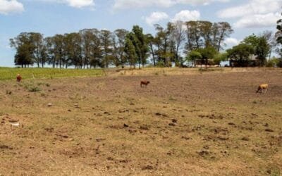 Brasil enfrenta la peor sequía jamás registrada, con el 58% del territorio afectado.