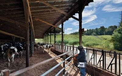 La tecnología de corte por plasma puede aportar ahorro y productividad a las propiedades rurales.
