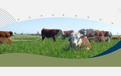 Importante jornada de recría y engorde, el viernes, en Trinidad.