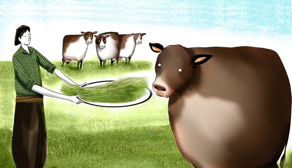 Fertilidad: El lado flaco de los toros gordos.