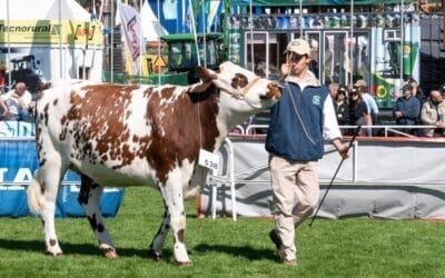 Estudiantes de escuelas agrarias de todo el país participan en la Expo Prado 2024.