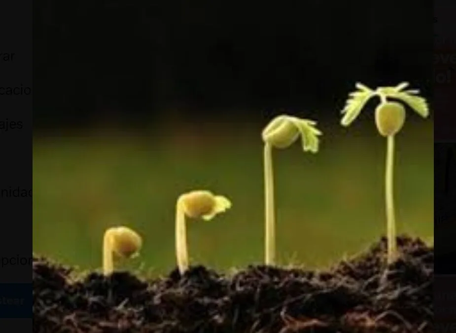 Producción de alimentos y metas ambientales: un mismo desafío.