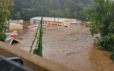 Huracán Helene golpea la agricultura de EE.UU. causando daños millonarios.